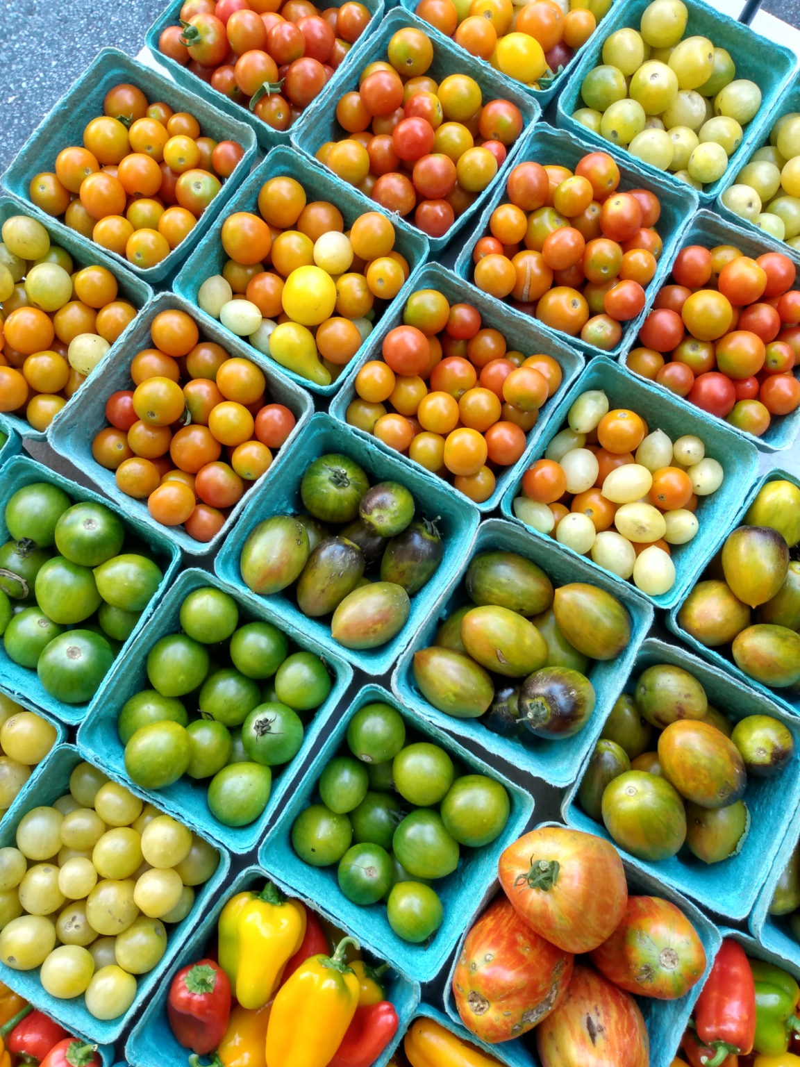 E-commerce Helped This Family Farm Thrive